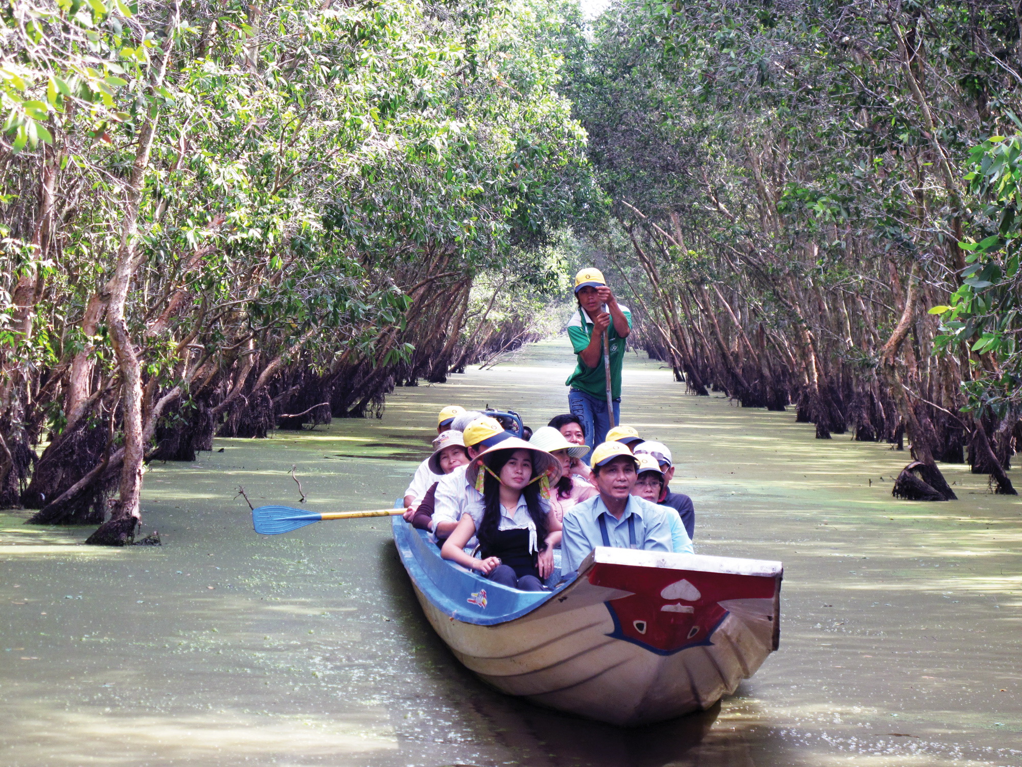 TRA SU MELALEUCA FOREST FULL DAY TOUR